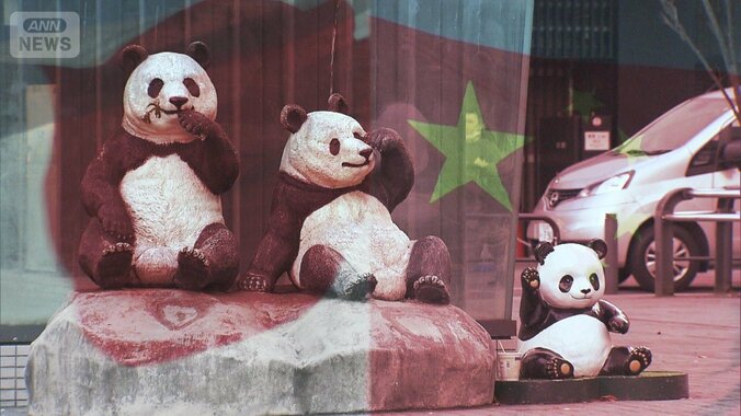 上野動物園の双子パンダを1月に返還　新規貸与も見通し立たず　溝深まる日中関係 1枚目
