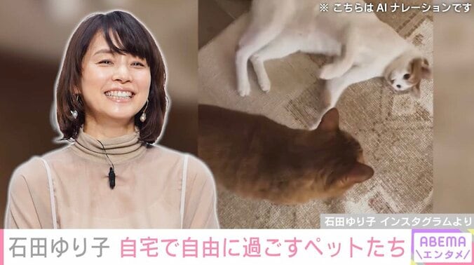 【写真・画像】石田ゆり子（55）、ペットたちが自由に過ごす自宅公開「ゆり子さんのおうちはステキなものがあふれていますね」と反響　1枚目