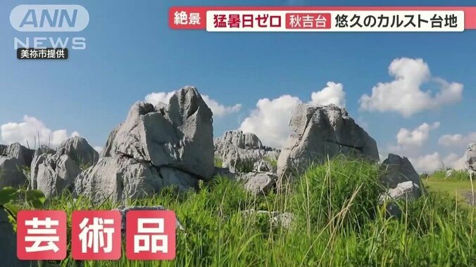 日本最大級のカルスト台地「秋吉台」