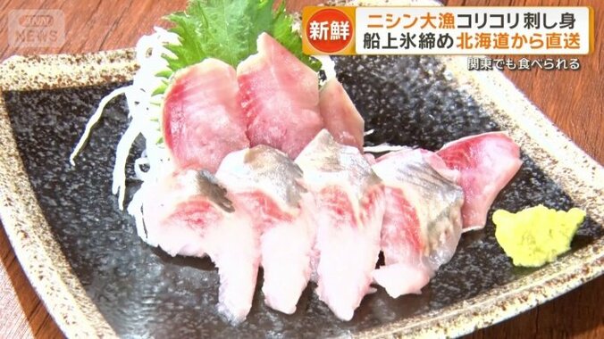 ニシンの刺し身