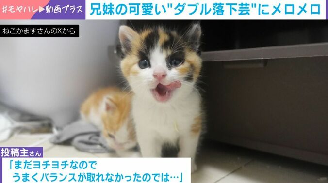楓橙くんと胡晴ちゃん
