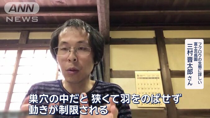 フクロウの生態に詳しい　富士花鳥園　三村晋太郎さん