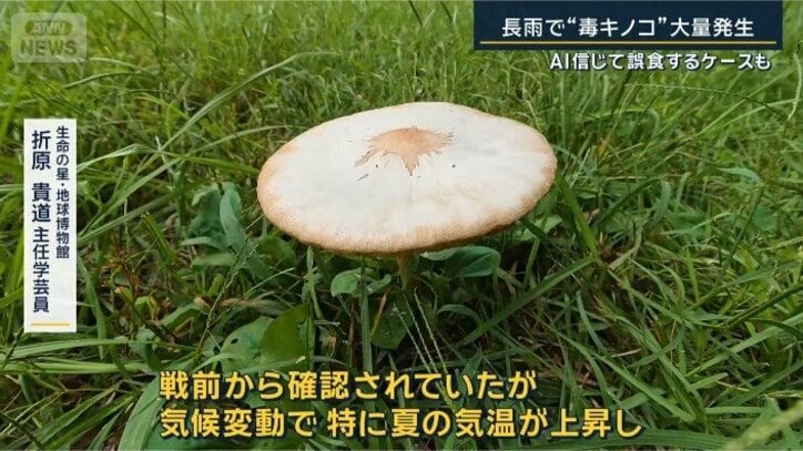 折原主任学芸員