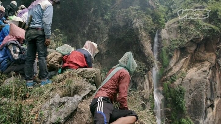 「快楽のためじゃない」幻覚誘うネパールの蜂蜜、過酷な採取現場に密着