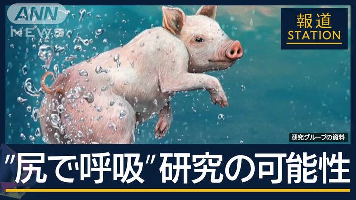 【日本人受賞まとめ】イグ・ノーベル賞 “正しい「鼻のかみ方」”２０年連続日本人受賞…過去には「バナナの皮の滑りやすさ」「股の間から物を逆さに見ると…」「キスでアレルギー反応が…」などの研究