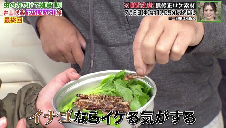 苦しむゴキブリを生きたまま油に…昆虫バーベキューに男性も悲鳴！
