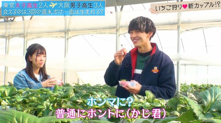 美少女JKを巡る争奪戦、いちご狩りで「あーん」合戦勃発 『恋ステ』大阪編