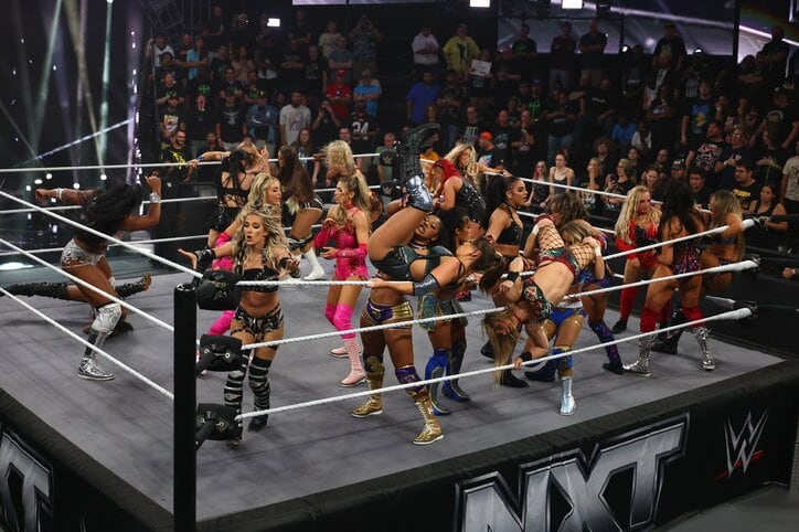 【映像】鉄柱で“ツルリ”…美女レスラー、前代未聞のドジっ子ミス