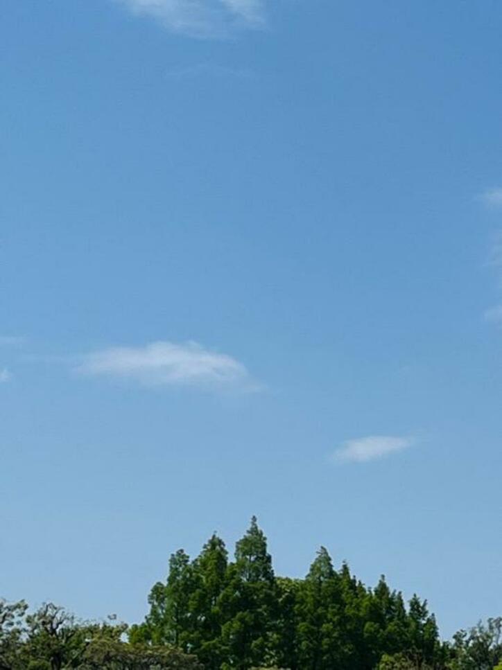  だいたひかる、手術前の検査を受けたことを報告「少しでも良くなる希望をもって」 