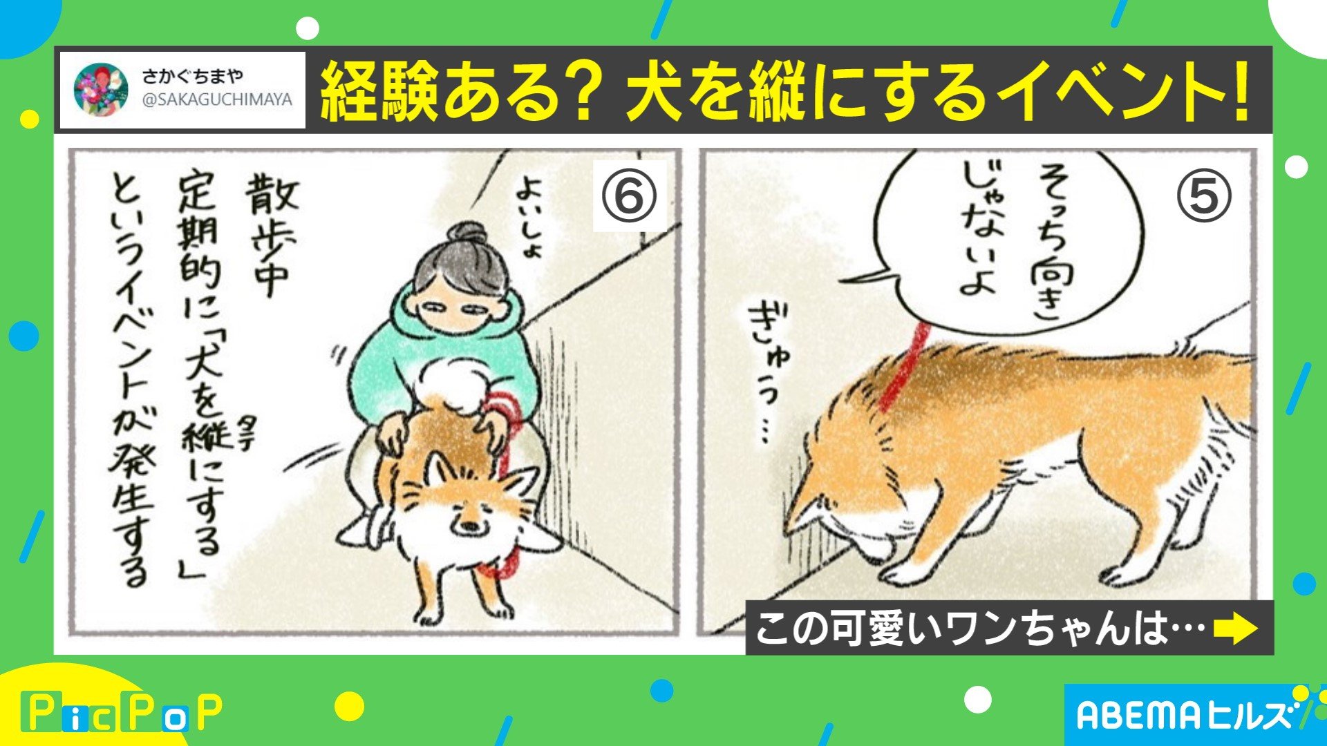 リードの方向に進むワン 犬の散歩あるある を描いた漫画が話題 国内 Abema Times