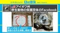 「ブラのホックだけ下さい」米動物保護団体が呼びかけ、その使途とは？