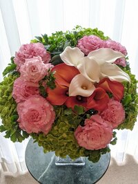 小林麻耶『お誕生日』