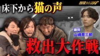 スリル満点!床下に逃げた子猫を救え&スケートしたい95歳 - 探偵!ナイトスクープ