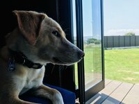 さかがみ家『一発目のブログは坂上おじさんより』