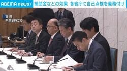 補助金などの効果 各省庁に自己点検を義務付け