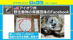 「ブラのホックだけ下さい」米動物保護団体が呼びかけ、その使途とは？