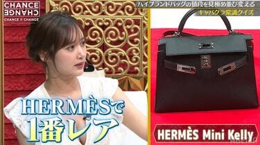 エルメス バッグ 500万円