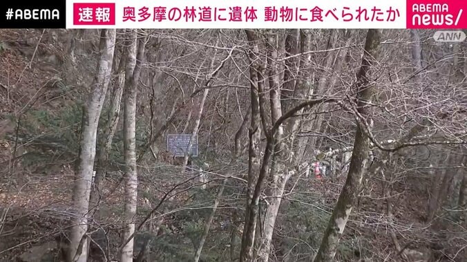 遺体が見つかった現場周辺の様子