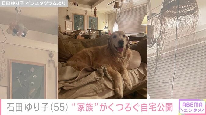 【写真・画像】生活感あふれるおしゃれな自宅が話題・石田ゆり子（55）、愛猫に届いたプレゼントを紹介　2枚目