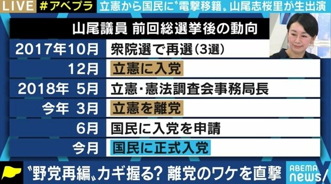 「リベラルで前向きな憲法改正というものがあるはずだ」山尾志桜里議員が国民民主党を選んだ理由…古巣・立憲民主党との“合流話”に複雑な心境も 2枚目