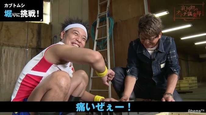 カブトムシ育成歴20年！哀川翔が語る、カブトムシ愛 3枚目