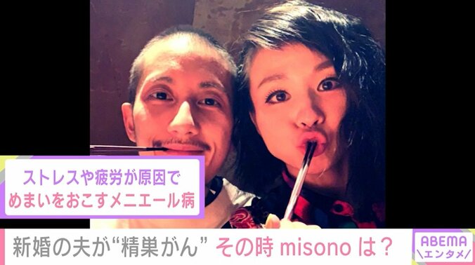 「Nosukeに似た子どもができたらいいなって」 夫の精巣がん闘病、不妊治療、ボランティア活動を経て… “別居婚”misonoが描く家族のカタチ 3枚目