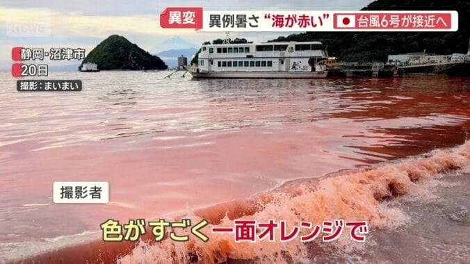 海にも暑さの影響か