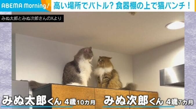 みぬ太郎くん＆みぬ次郎くん