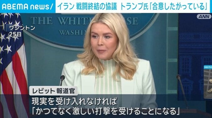 レビット報道官