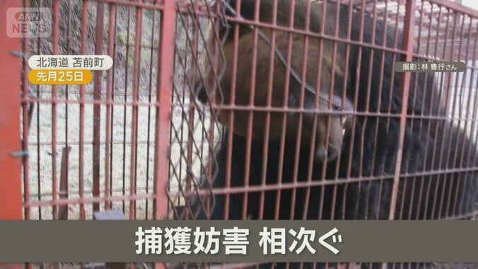 冬眠しないクマ被害相次ぐも　箱わな妨害騒動…足蹴り破壊　獣害悩むハンター怒り 1枚目