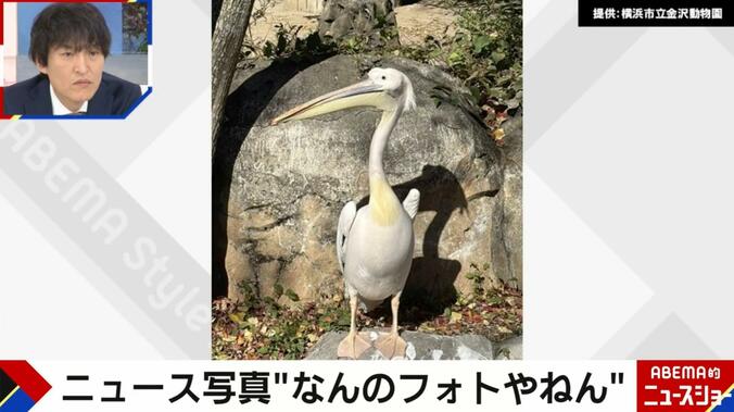 提供：横浜市立金沢動物園