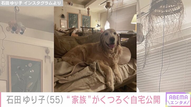 【写真・画像】生活感あふれるおしゃれな自宅が話題・石田ゆり子（55）、愛猫に届いたプレゼントを紹介　2枚目