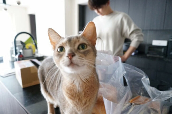 あいのり・桃の夫、2度と戻りたくない”Tinder沼ライフ”を回想「メンタル病みました」