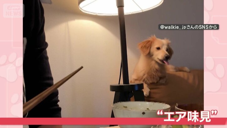飼い主が食べると…“エア味見”