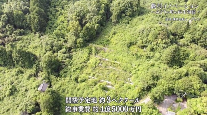 世界に名を馳せる“ぶどうの町”にするために…農家になる運命を背負った男性が、人生をかけて挑む“地域再生”