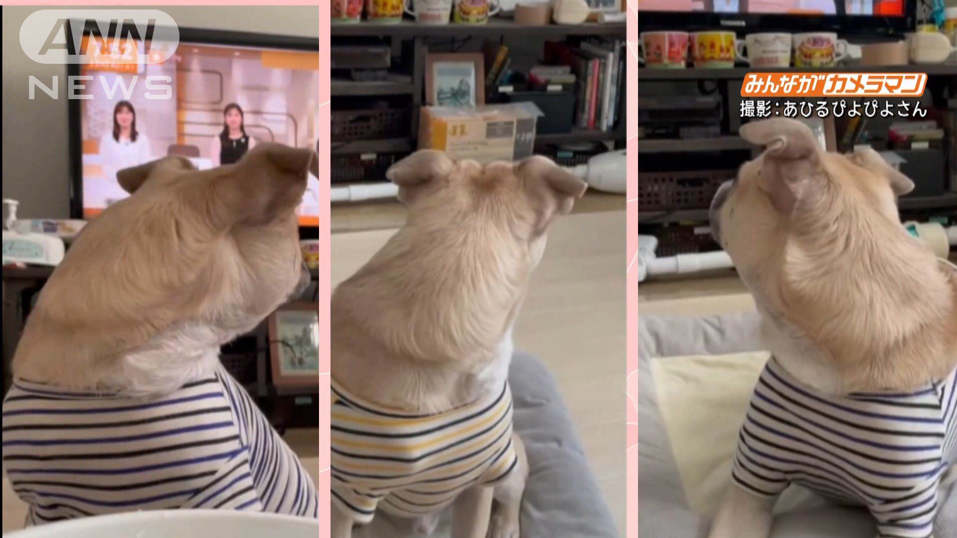 ハメ撮り　gif  