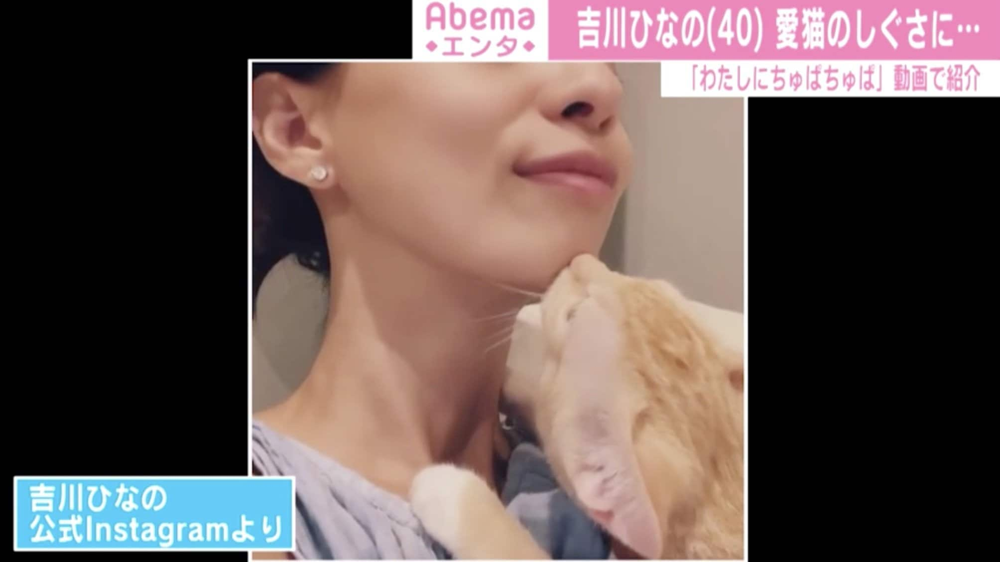 わたしにちゅぱちゅぱ」吉川ひなの、愛らしい飼い猫の動画公開 「可愛すぎる」と話題 | エンタメ総合 | ABEMA TIMES | アベマタイムズ