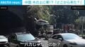 「ありえない」突如現れたのは“木に引っかかった車”！ 猛スピードで縁石を乗り越え斜面に突っ込む瞬間 中国
