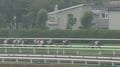 「カッコよかった」“大物歌手命名馬”がレジェンドと組み見事な大逃げ…惜敗も人馬の奮闘にファン胸熱「人生初競馬、楽しかった！」