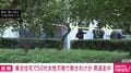 集合住宅で50代女性 刃物で刺されけが 男逃走中
