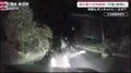 車を襲う恐怖瞬間…映像から分析 雨上がり注意 クマ行動に変化は?