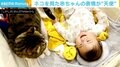 猫が視界に入ると赤ちゃんがぱあっと笑顔に 微笑ましい様子に「かわいい、なんてレベルじゃない！」