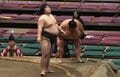 「どうした？」1分半の熱戦直後、力士に異変 駆け寄った呼出を制するも不自然な動き