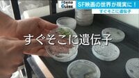 Abema×GLOBE - すぐそこに遺伝子（18/07/07） | 動画視聴はAbemaビデオ(AbemaTV)