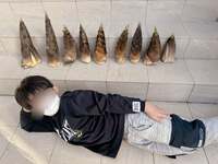 辻希美『筍♡フキ』