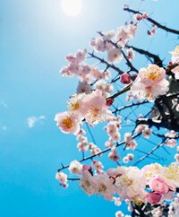 古村比呂『何じゃこれは！』