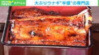 【映像】「ニホンウナギ」がほぼ半額のうなぎ専門店 コストカットの工夫とは?