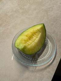 花田虎上『メロン』