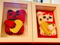 藤原紀香『衣食住~おうちダイエット~』