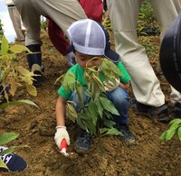 東尾理子『今日の時間は家の防災管理に』